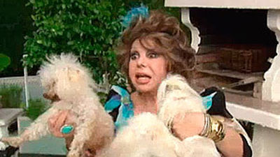 Las mascotas de los famosos