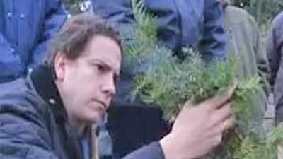 La Comunidad impulsa la repoblación con plantas autóctonas tras los incendios de la Sierra Oeste