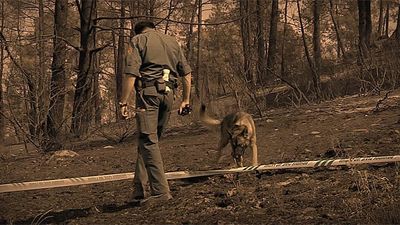 Agente especial: capítulo 9