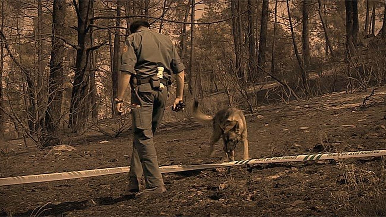 Agente especial: capítulo 9