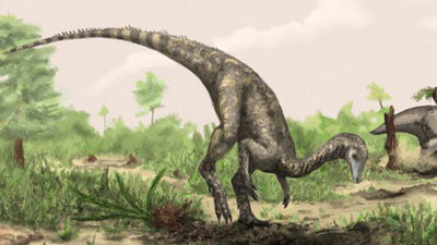 Descubren al "Nyasasaurus" el dinosaurio más antiguo