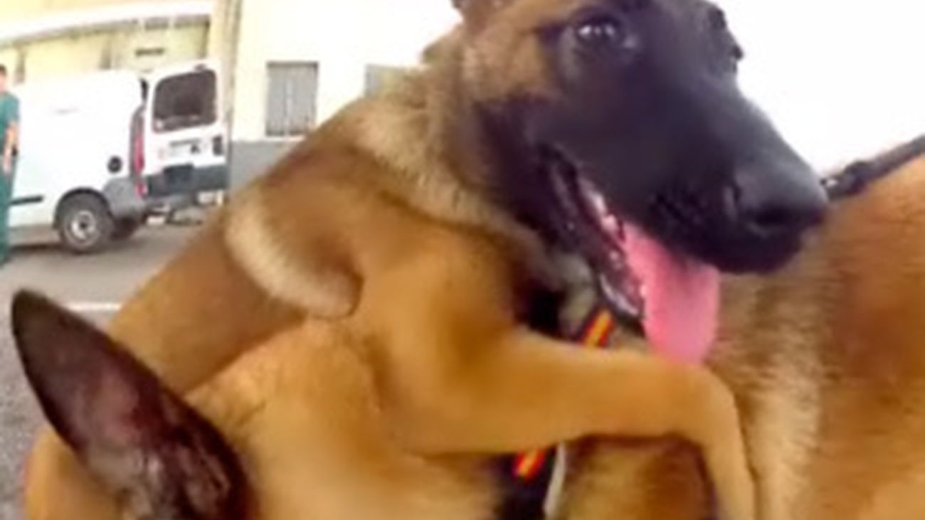 Agente especial: capítulo 12