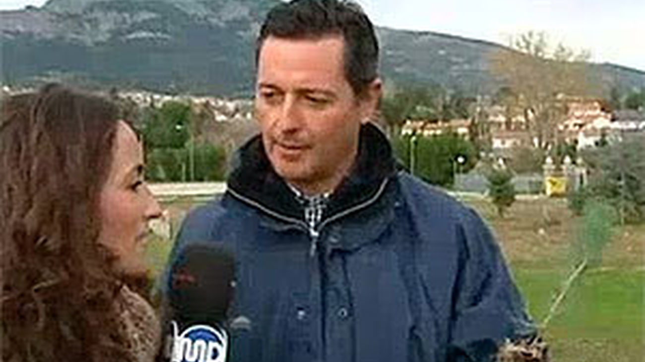 Así se crían los árboles bebé