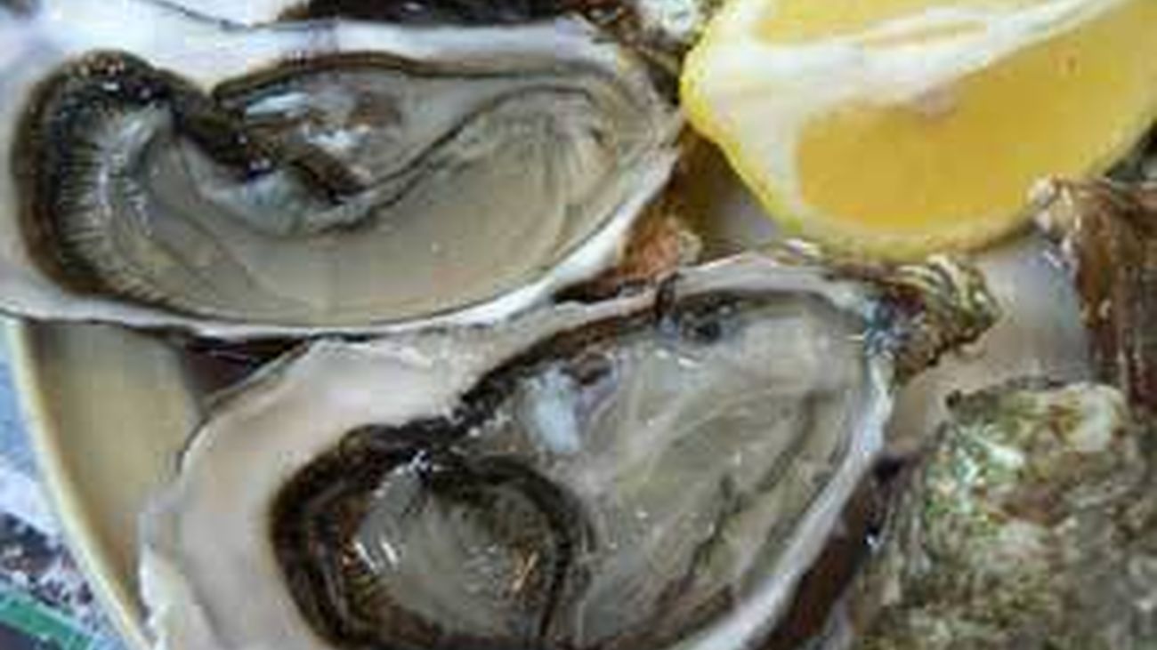 Plato de ostras