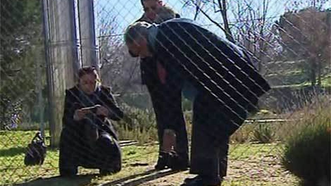 Madrid Arena: Las víctimas recorrieron 150 metros abarrotados de gente hasta la enfermería