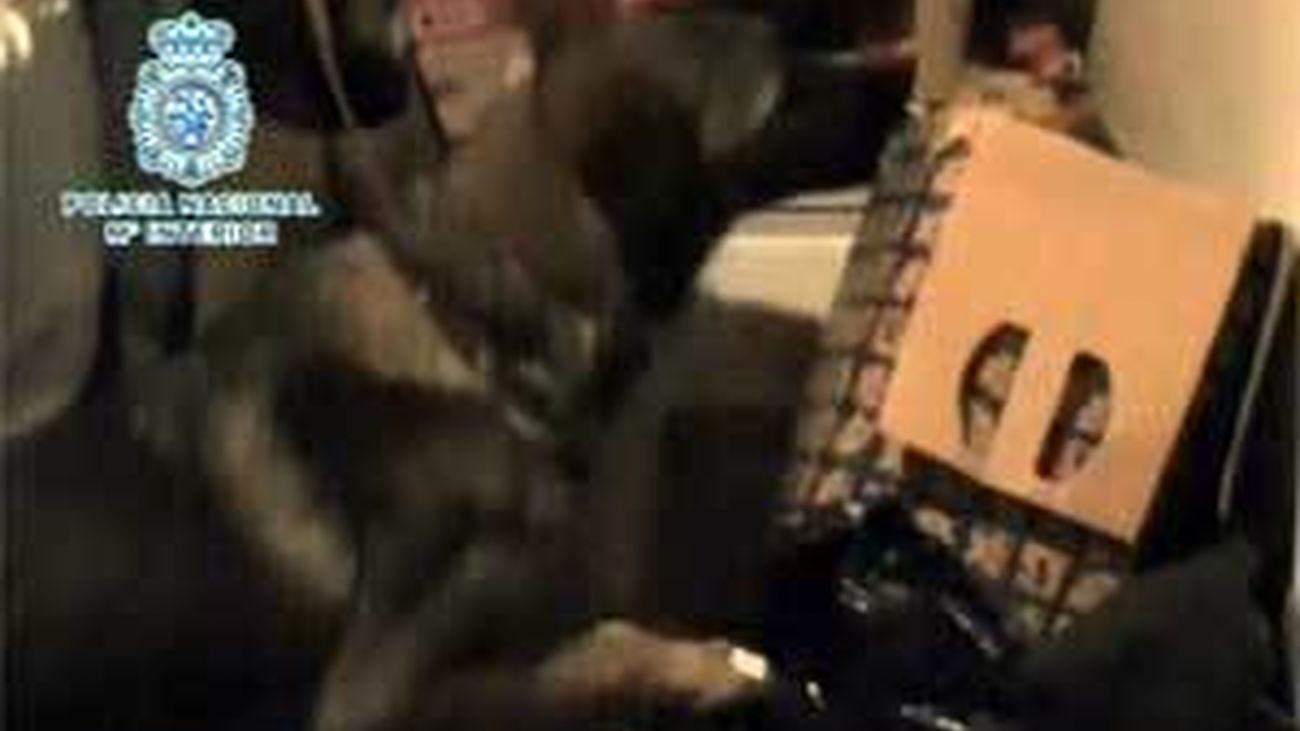 Detenido por distribuir cocaína