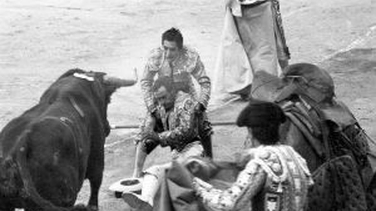 Exposición Juan Madrigal