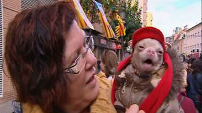 Cientos de personas acuden a la bendición de mascotas de San Antón