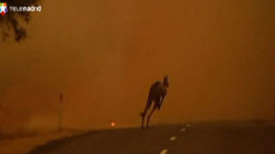 El fuego arrasa más de 100.000 hectáreas en Australia