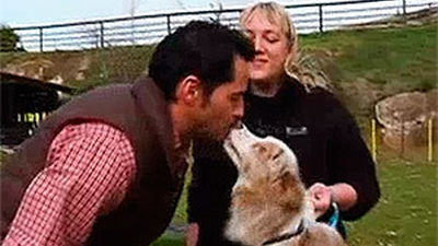 Animalandia: Capítulo 8