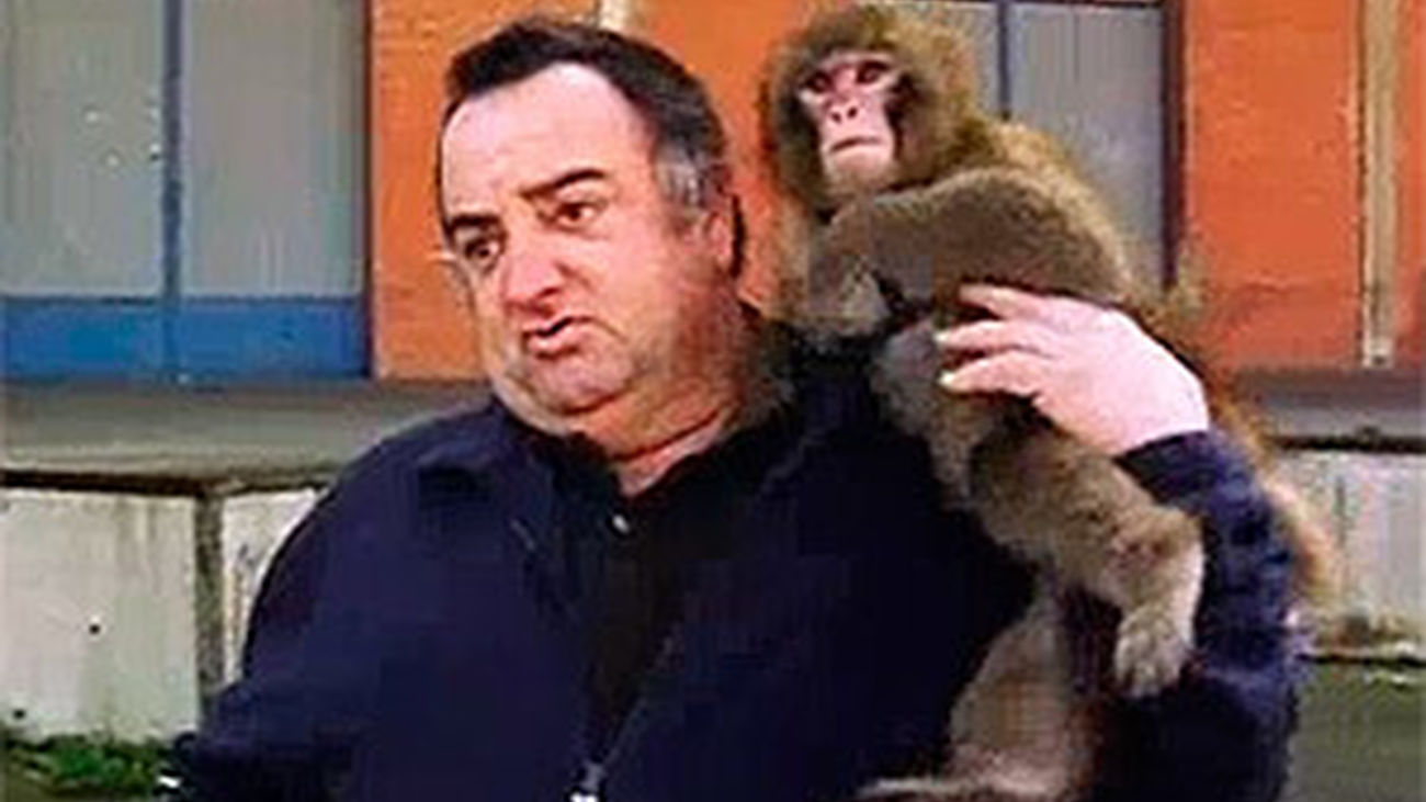 Animalandia: Capítulo 5