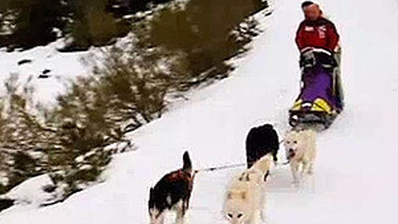 Animalandia: Capítulo 11