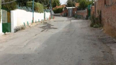 La Policía rescata 18 animales abandonados, desnutridos y heridos en la Cañada Real