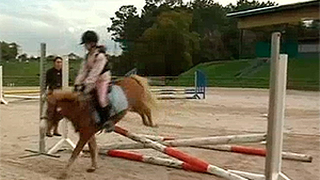 Animalandia: Capítulo 4