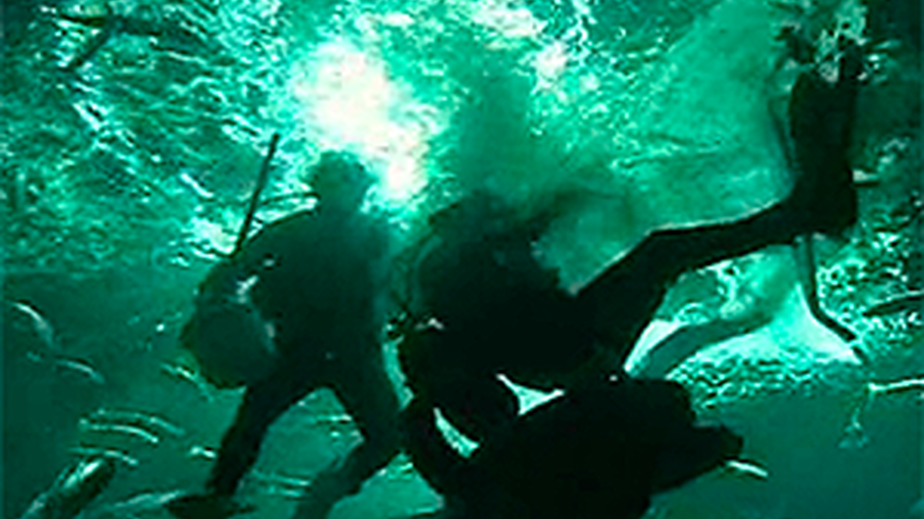 Animalandia: Capítulo 1