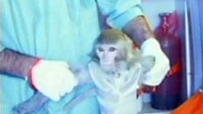 Irán lanza un cohete al espacio con un mono a bordo