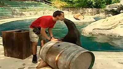 Madrid Distrito Animal: Entrenamiento