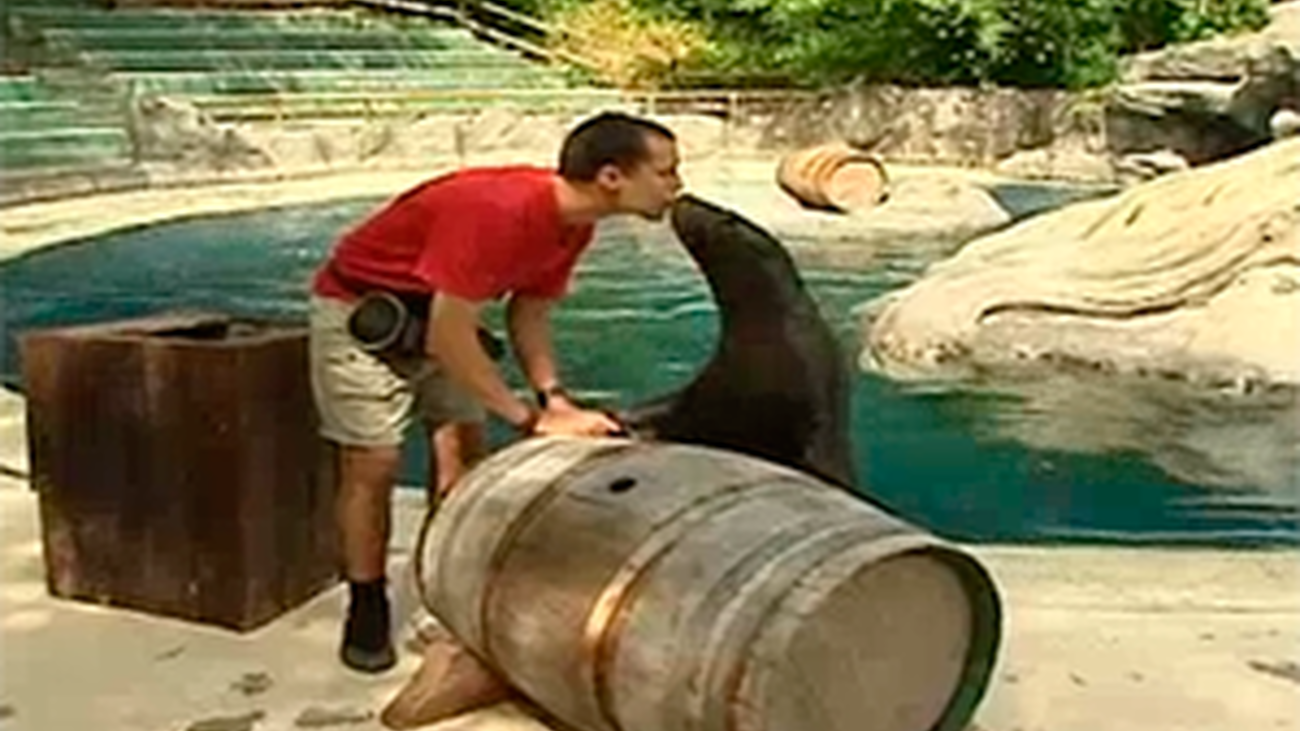 Madrid Distrito Animal: Entrenamiento