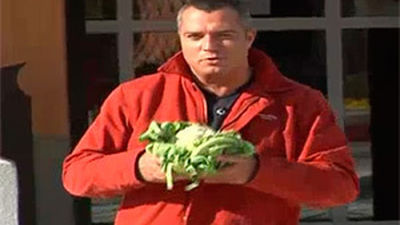 Saborea Madrid: Griñón y la coliflor