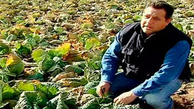 Saborea Madrid: Colmenar de Oreja y el repollo