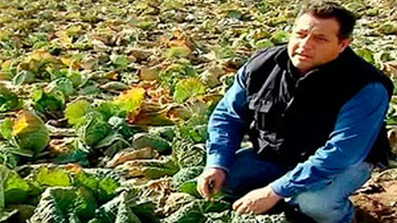 Saborea Madrid: Colmenar de Oreja y el repollo