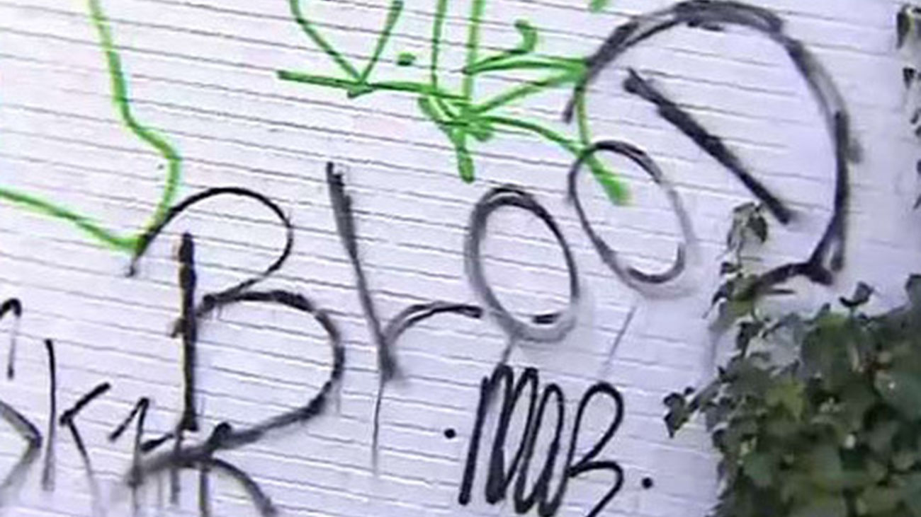 Detenidos 33 miembros de las bandas Blood y Dominican Don't Play en Madrid