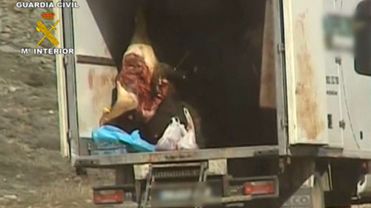 Vendían carne de caza ilegal