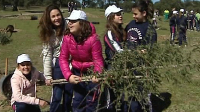 La Comunidad incrementa un 30% su masa forestal arbolada en solo cuatro años