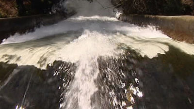 La Comunidad edita un decálogo  para un buen uso del monte