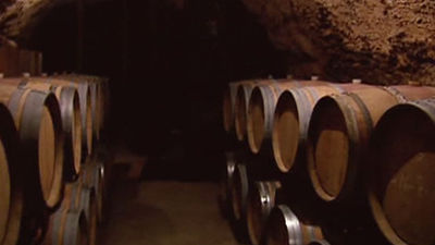 Zoom: Los vinos de Madrid