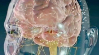 Un científico madrileño considera "histórica" propuesta de Obama sobre cerebro