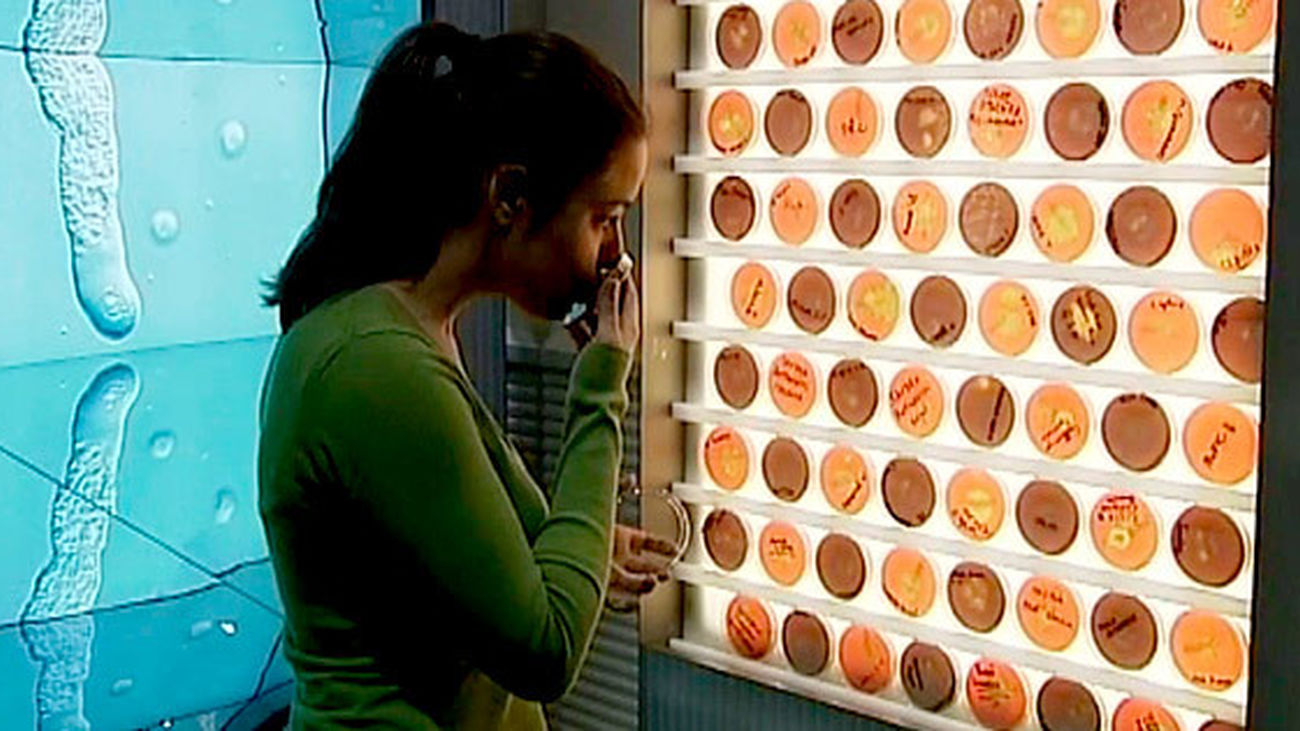 Epidemia Exposición en CosmoCaixa Madrid