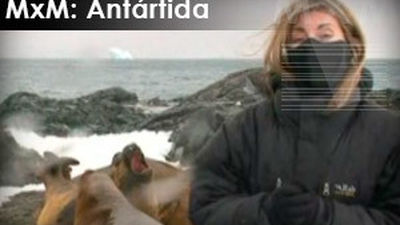 Madrileños por el mundo: Antártida