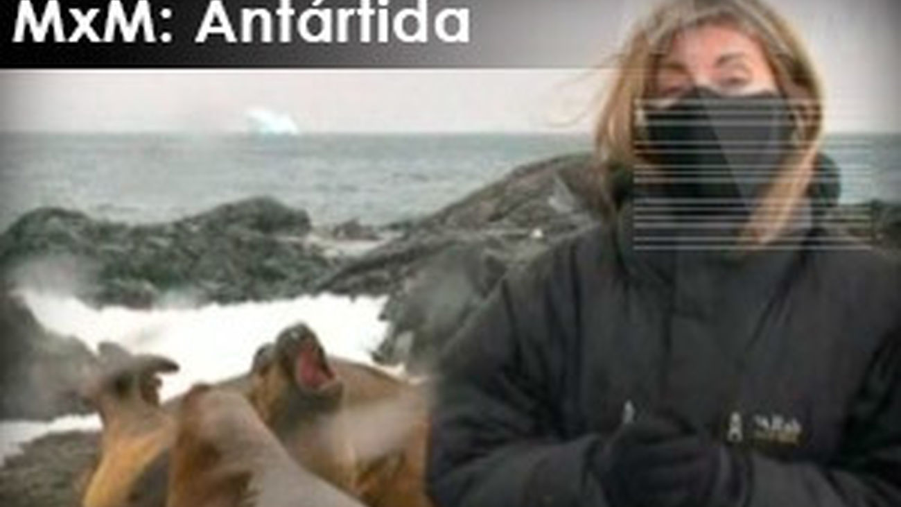 Madrileños por el mundo: Antártida