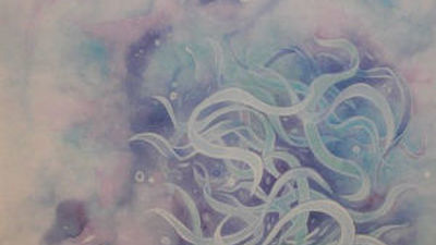 El universo de Ferrer Aguiló se traslada al Temple