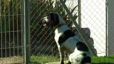 Agente Especial: capítulo 13