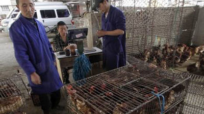 Ya van nueve muertos y 28 casos por el brote de gripe aviar en China