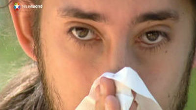 La Red Palinocam cumple dos décadas informando a los madrileños del pólen