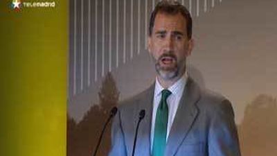 El Príncipe afirma que la recesión obliga a abordar con determinación el cambio climático