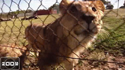 Reserva de animales... desahuciados