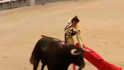 Los mansos y descastados cinqueños de José Luis Pereda