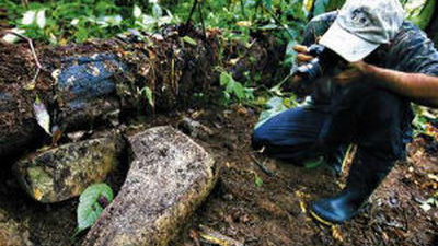 Científicos habrían hallado dos ciudades perdidas bajo la selva de Honduras