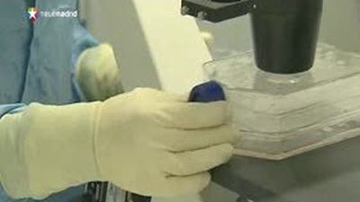 Científicos norteamericanos consiguen por primera vez células madre humanas por clonación