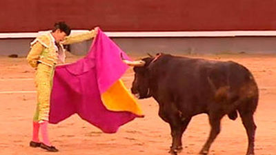 Tres orejas bajo el diluvio