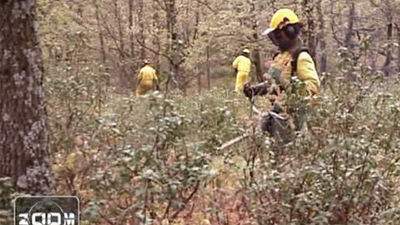 Asi trabajan las brigadas forestales