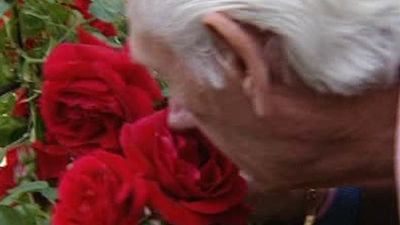 Los madrileños eligen su rosa favorita en el parque del Oeste