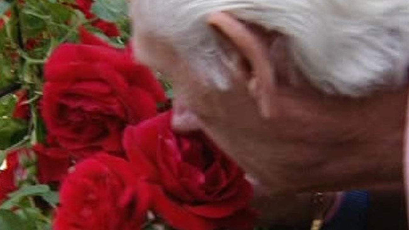 Los madrileños eligen su rosa favorita en el parque del Oeste