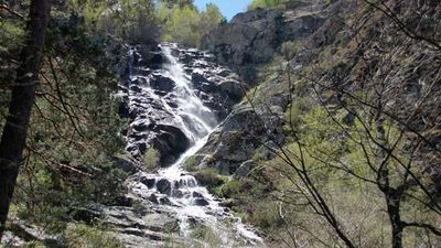 Canencia, una frondosa y suave sorpresa