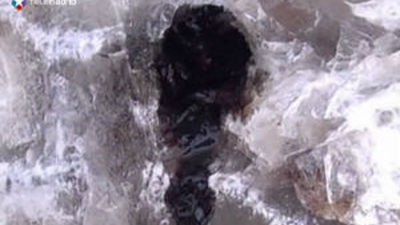 Hallan sangre líquida en los restos de un mamut que podrían permitir su clonación