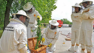 Los bomberos realizan 130 salidas en mayo para retirar enjambres de abejas